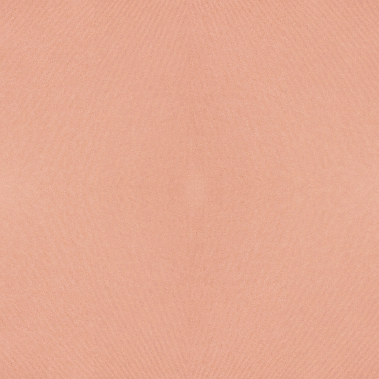 Bella + Canvas 3001C Terracotta