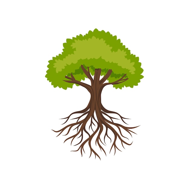 Vibrant Green Tree with Intricate Root System | Jiffy Designs