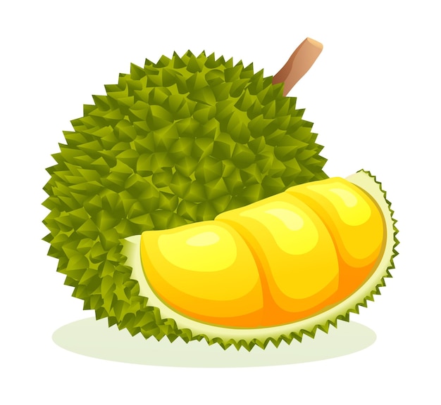Vibrant Durian Fruit with Textured Green Shell | Jiffy Designs