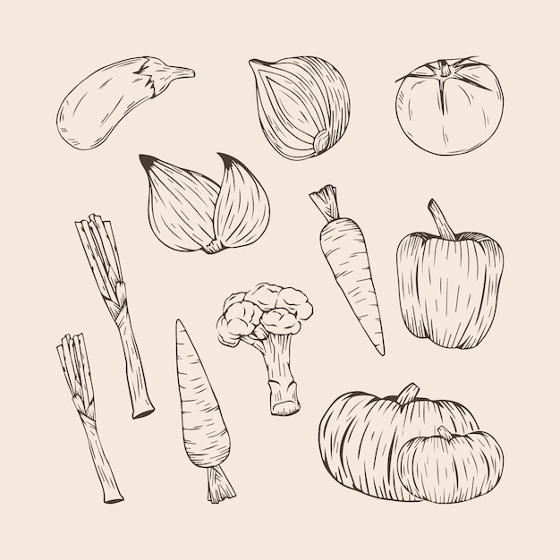 Delightful Vegetable Sketch Collection: Vibrant Produce in Elegant ...