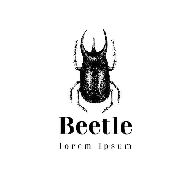 Vintage Beetle Emblem with Lorem Ipsum Text Illustration | Jiffy Designs