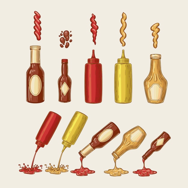 Vibrant Collection of Condiment Bottles and Splashes | Jiffy Designs