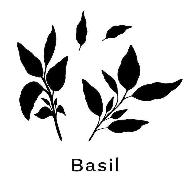 Elegant Basil Silhouettes on Minimalist White Background | Jiffy Designs