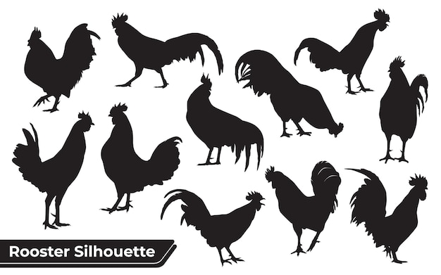 Roosters in Dramatic Silhouette: A Collection of Dramatic Rooster Poses ...