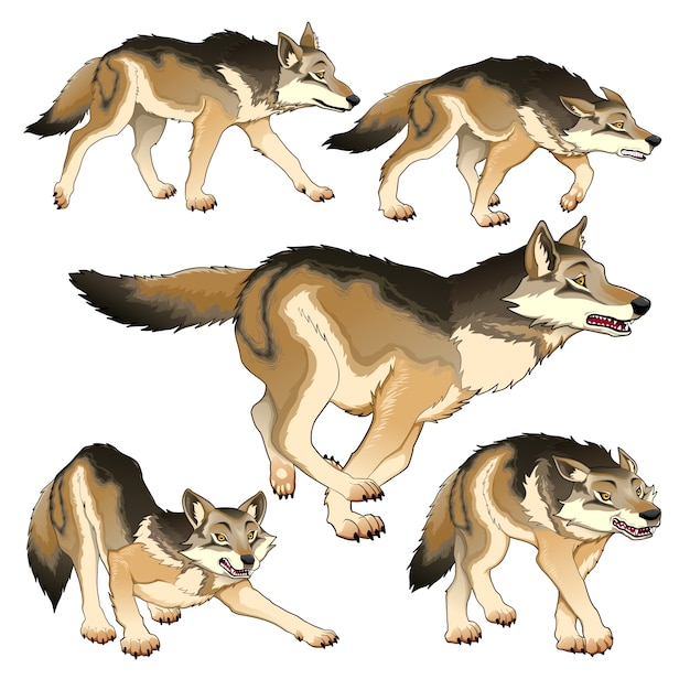 Vibrant Wolf Illustrations in Various Animated Poses and Angles | Jiffy ...