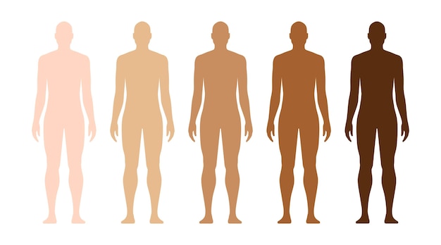 Diverse Skin Tones: Inclusive Representation of the Human Form | Jiffy ...