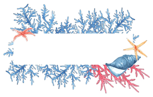 Vibrant Coral Reef Frame with Starfish and Shells | Jiffy Designs