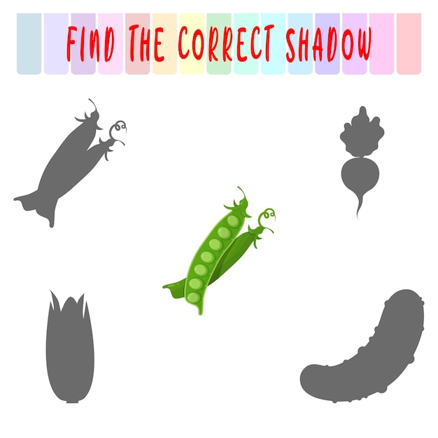 Discover the Matching Shadows of Vibrant Vegetables | Jiffy Designs