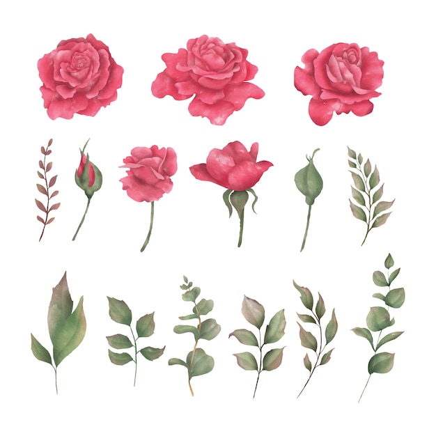 Vibrant Floral Bouquet: Elegant Roses and Lush Foliage | Jiffy Designs