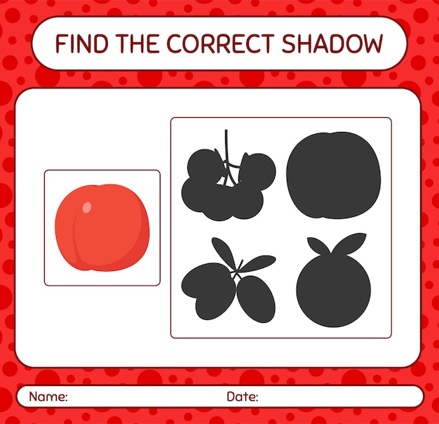 Vibrant Fruit Silhouettes: Discover the Matching Shadows | Jiffy Designs