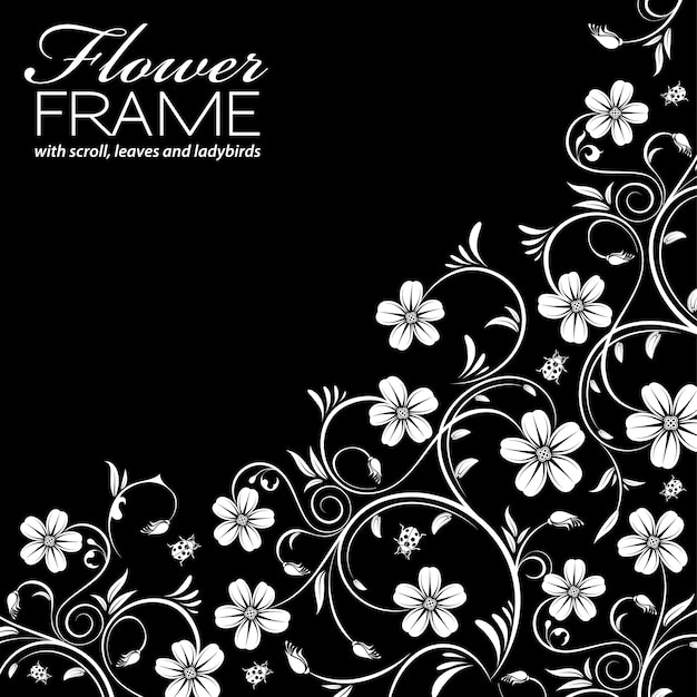 Elegant White Floral Swirls on Black Background | Jiffy Designs