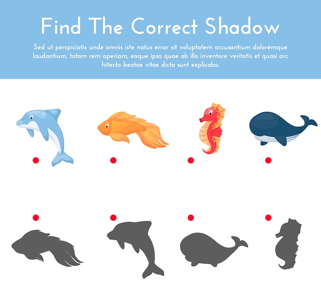 Vibrant Marine Creatures and Their Matching Shadows | Jiffy Designs