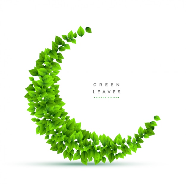 Vibrant Green Leaves Forming a Curved Nature Design | Jiffy Designs