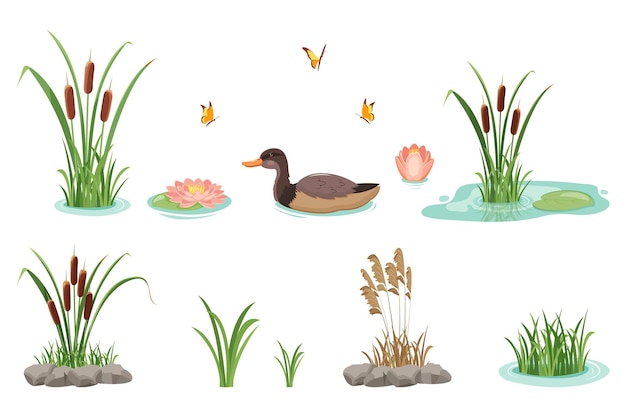 Serene Pond with Cattails, Lotus, and Swimming Duck | Jiffy Designs