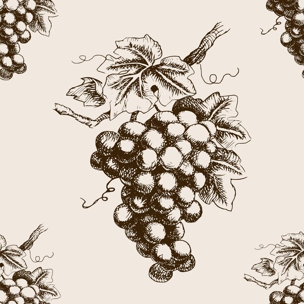 Elegant Engraved Grape Cluster in Sepia Tones | Jiffy Designs
