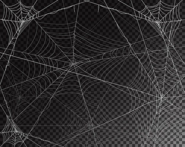 Intricate Web of Ghostly Threads Across Shadowy Backdrop | Jiffy Designs