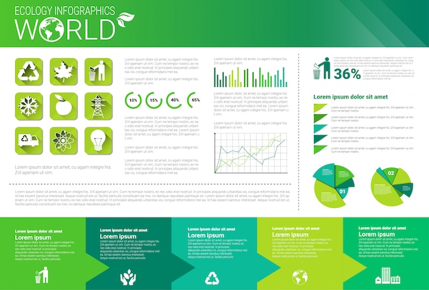 Vibrant Ecology Infographic Showcasing Environmental Data | Jiffy Designs