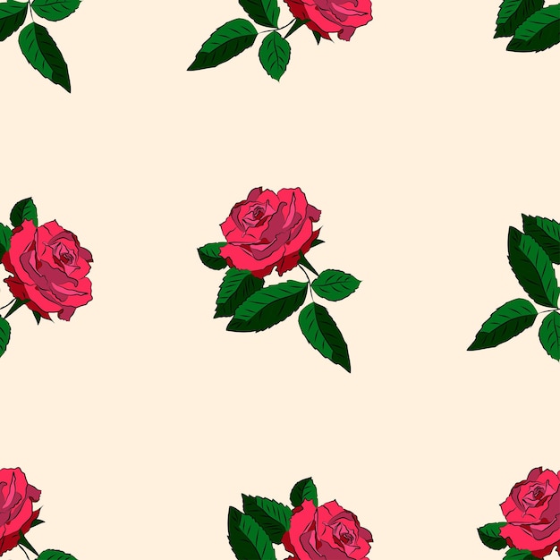 Vibrant Red Roses Blossom on Cream Background | Jiffy Designs
