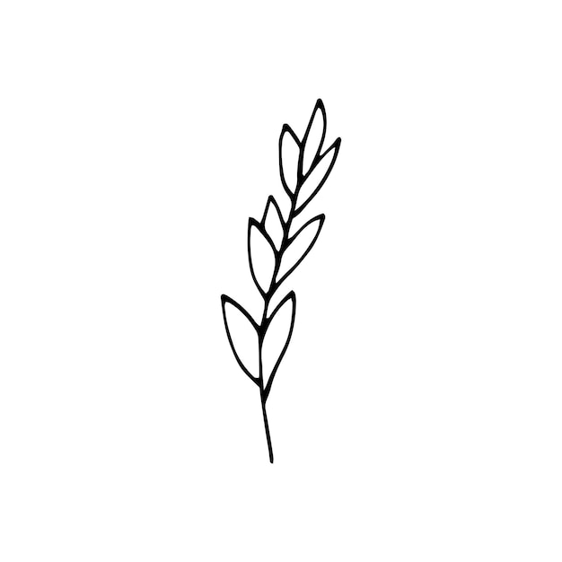 Minimalist Line Art Botanical Branch Illustration | Jiffy Designs