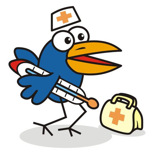 Doctor Bird, Funny Vector Illustration | Jiffy Designs