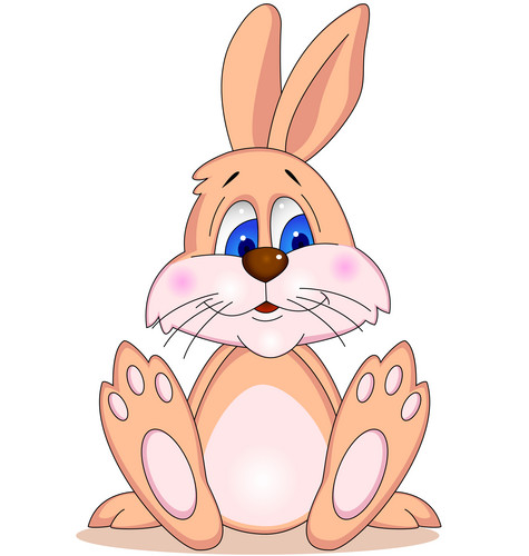 Funny Rabbit | Jiffy Designs
