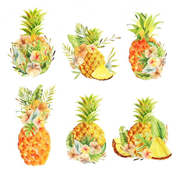 Vibrant Collection of Tropical Pineapple Illustrations | Jiffy Designs