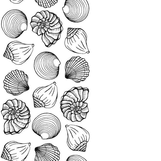 Captivating Collection of Intricate Shell Illustrations | Jiffy Designs