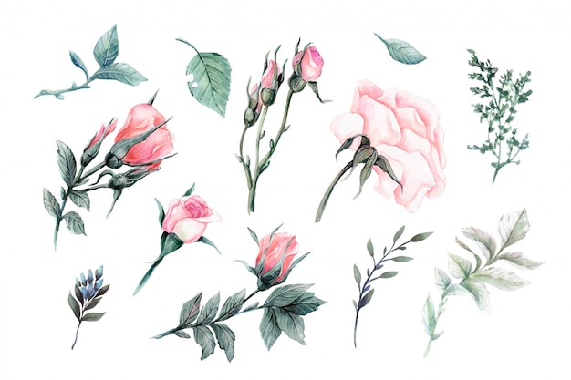 Delicate Floral Bouquet: Soft Pink Roses and Lush Greenery | Jiffy Designs