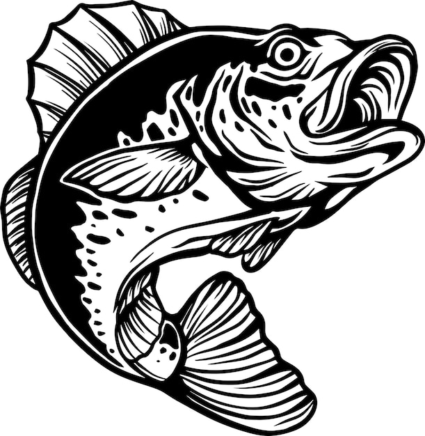 Powerful Predatory Fish Illustration | Jiffy Designs