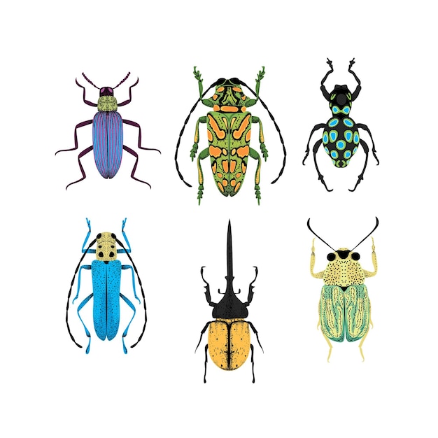 Vibrant Collection of Diverse Insect Illustrations | Jiffy Designs
