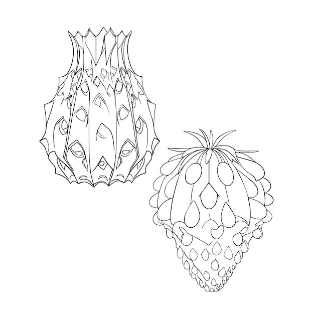 Captivating Pineapple Duo Intricate Designs For Versatile Uses Jiffy 