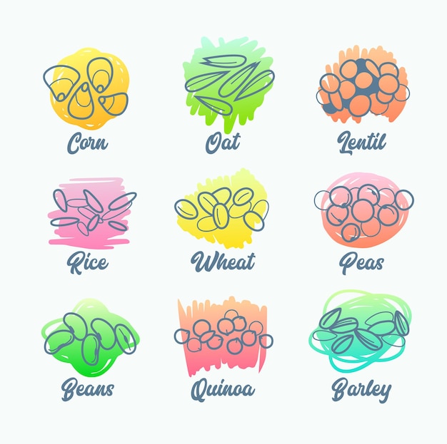 Vibrant Legumes and Grains: A Colorful Culinary Collection | Jiffy Designs