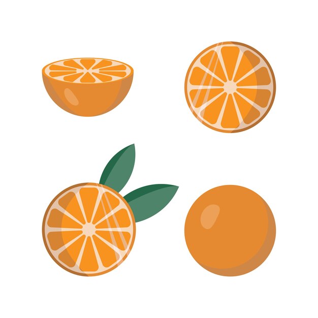 Vibrant Orange Citrus Fruit Collection | Jiffy Designs