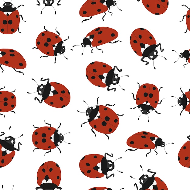 Ladybugs Pattern on White Seamless Background | Jiffy Designs