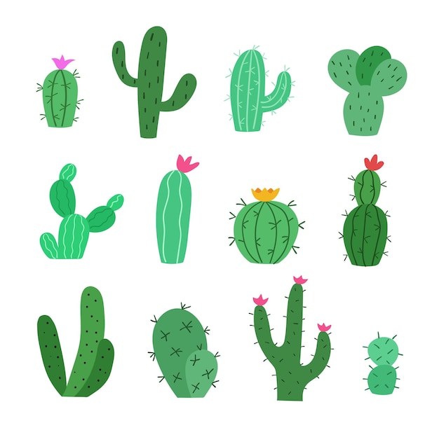 Vibrant Cactus Collection: Diverse Succulent Designs for Versatile ...