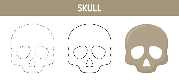 Diverse Skull Designs for Versatile Applications | Jiffy Designs
