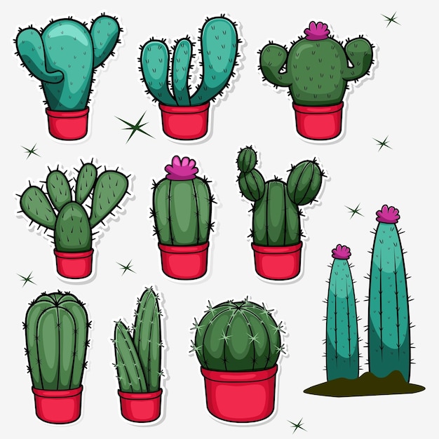Vibrant Cactus Collection: Diverse Potted Succulents and Desert Plants ...