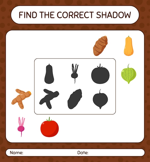 Matching Shadows of Fresh Produce in the Kitchen | Jiffy Designs