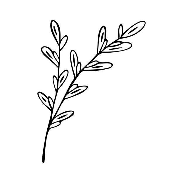 Minimalist Line Drawing of Botanical Foliage Branch | Jiffy Designs