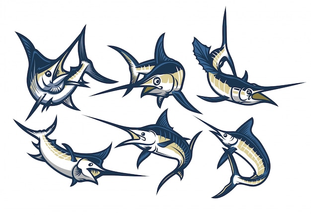 Diverse Collection of Vibrant Marlin Illustrations for Versatile Uses ...