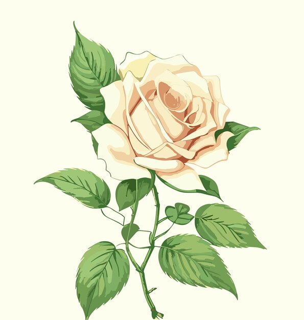 Elegant Ivory Rose with Lush Green Leaves | Jiffy Designs
