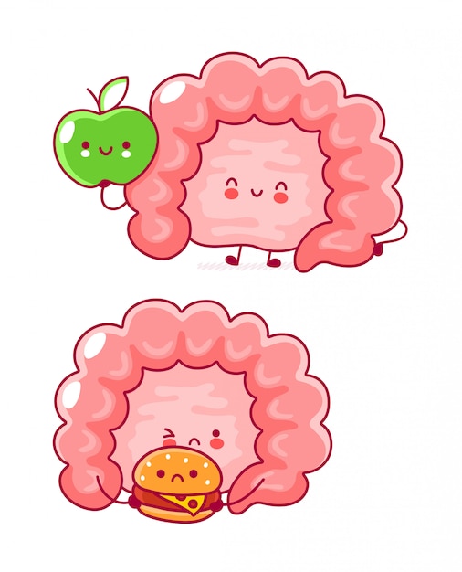 Adorable Intestine Character Collection with Fruits and Snacks | Jiffy ...