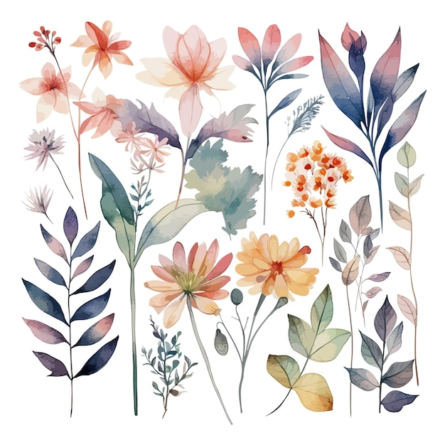 Vibrant Floral Botanical Illustration with Diverse Blooms | Jiffy Designs