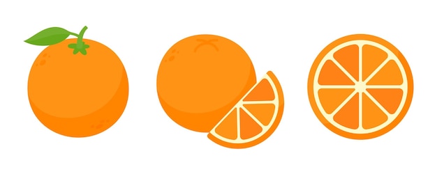Vibrant Orange Citrus Fruit Collection | Jiffy Designs
