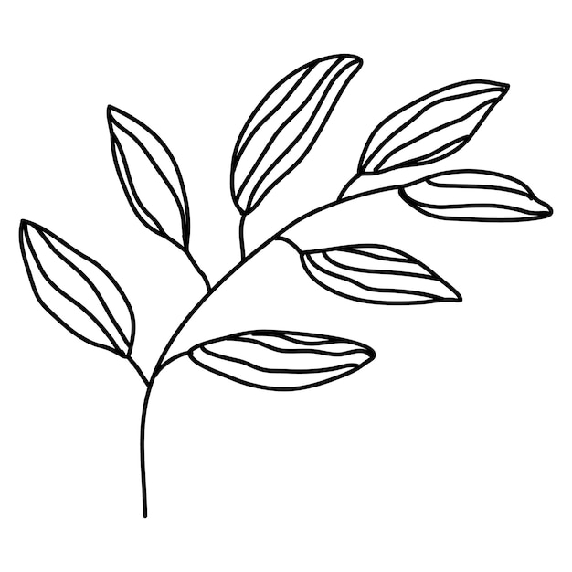 Minimalist Leaf Branch Line Drawing Illustration | Jiffy Designs