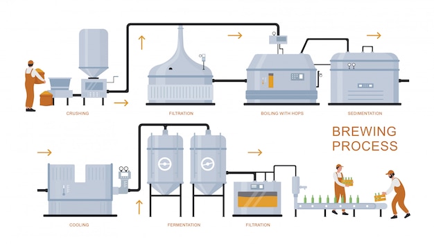 Detailed Illustration of the Brewing Process with Equipment | Jiffy Designs