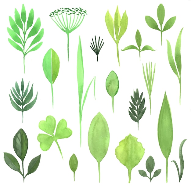 Vibrant Botanical Collection: Diverse Foliage Designs | Jiffy Designs