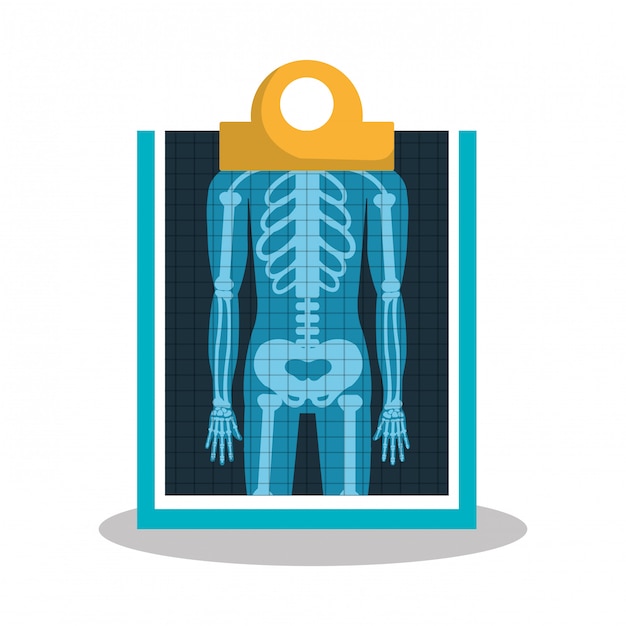 Detailed X-Ray Skeleton Image for Diverse Applications | Jiffy Designs