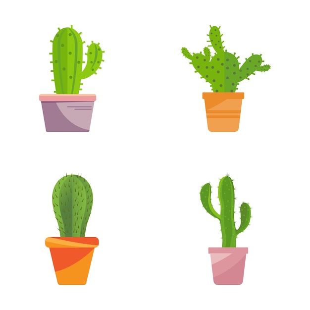 Vibrant Cactus Collection: Diverse Potted Succulents for Versatile ...