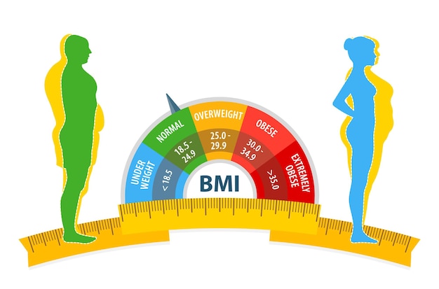 Vibrant BMI Gauge Visualizing Healthy Body Proportions | Jiffy Designs